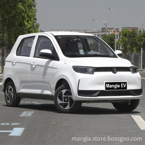 New energy vehicles 5 doors 4 seats left turn new cars to be sold in 2022 high-quality rechargeable Chinese electric car